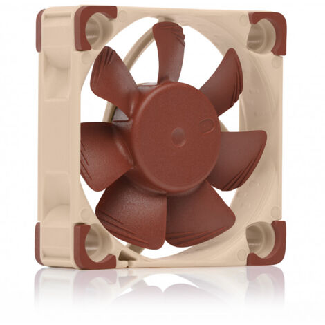 noctua Ventilateur 40x40x10 NF-A4x10 FLX (NF-A4X10 FLX)