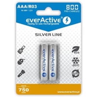 everActive R6 / AA 2000mAh 1.2 V Ni-Mh rechargeable battery