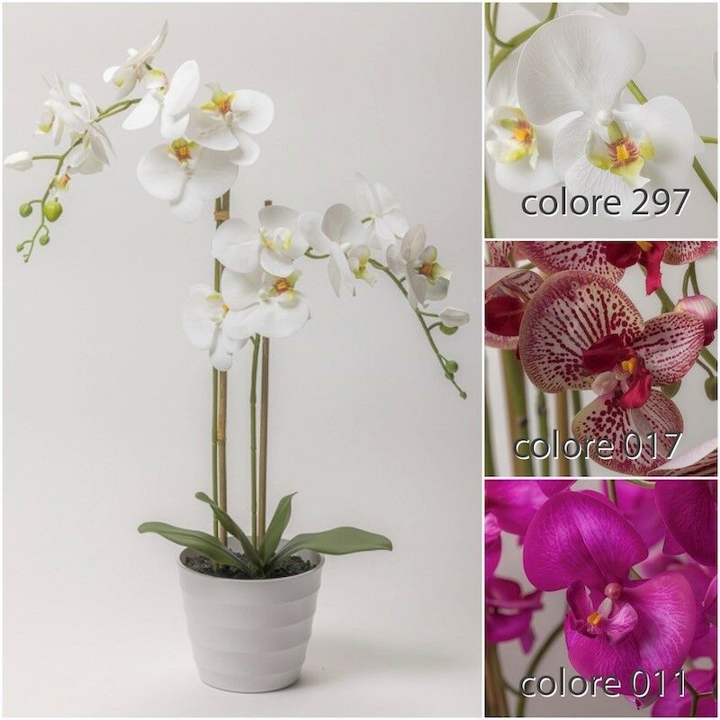 ORCHIDEA IN VASO X 2 CM.71 WHITE