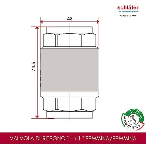 Supertool Valvola di ritegno pneumatica unidirezionale da 1/4 (2 pezzi, ottone, filettatura femmina, porta completa