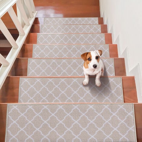 Dog slipping 2024 on wood stairs