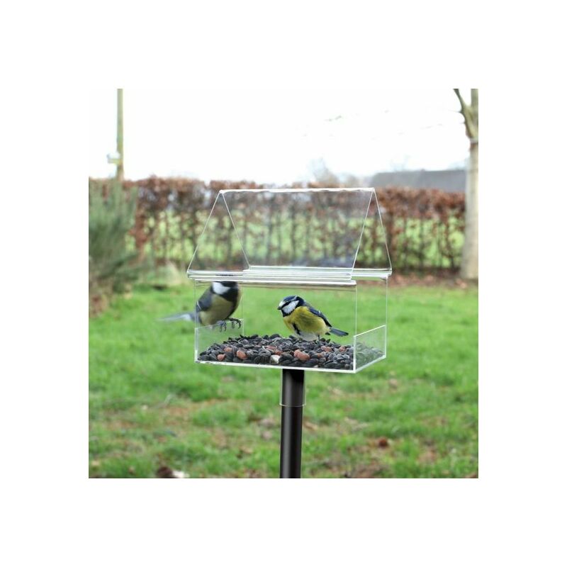 hugeneroy Mangeoire à oiseaux horizontale en acrylique avec autocollant  solide et perchoir en acier inoxydable, pratique pour se tenir debout,  facile à remplir et à nettoyer, grande vue (lot de 2 tubes) 