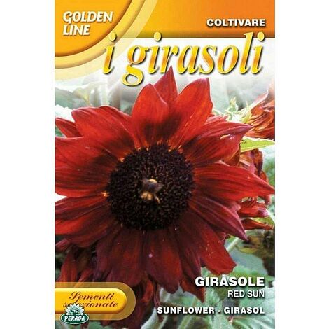 Graines bio de Tournesol Moyen Rouge