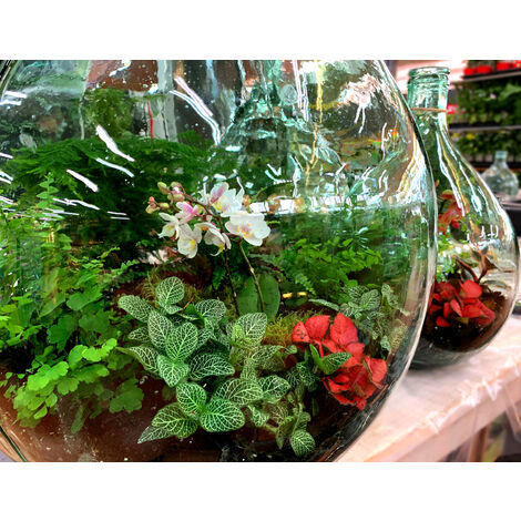 BOUCHON EN LIÈGE AVEC LED POUR TERRARIUM ECOSYSTEM