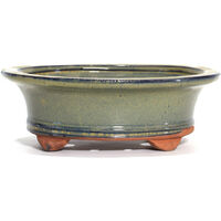 Vaso bonsai smaltato ovale cm. 25 Beige