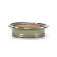Vaso bonsai smaltato ovale cm. 26 Beige