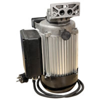 Ersatzmotor Industriemotor für Holzspalter 230V 1,5kW