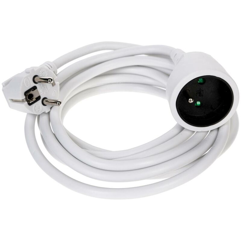 As-Schwabe Prolongateur Électrique 5m Avec Terre – 16A 230V PVC Noir NF