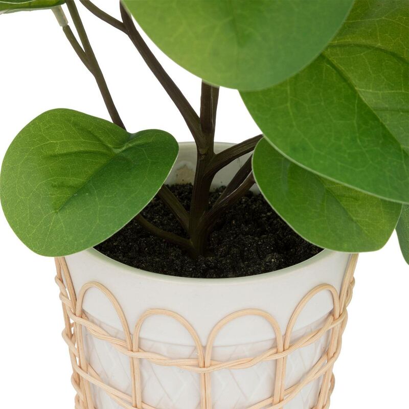 1pc Mini coloré en plastique plante Pot de fleur planteur - Temu Belgium