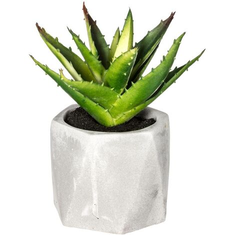 Plante grasse artificielle pot ciment H14cm - Atmosphera créateur d'intérieur