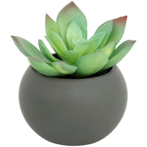 Plante grasse en pot H13 - Atmosphera créateur d'intérieur