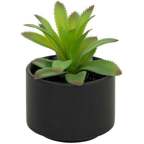 Plante grasse en pot H13 - Atmosphera créateur d'intérieur