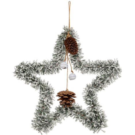 Suspension de Noël forme Etoile Vert givré et Pommes de pin H 27 cm - Feeric Christmas (1/2)