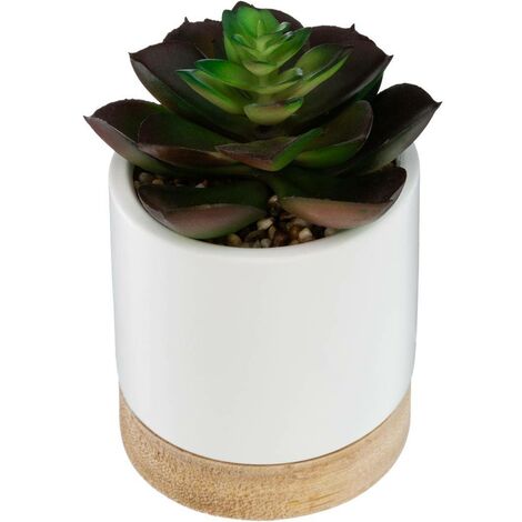 Plante artificielle Succulente pot céramique et bois - Atmosphera
