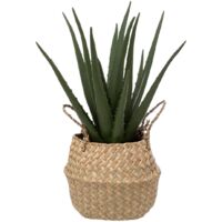 Aloe vera artificiel pot roseau H40cm - Atmosphera créateur d'intérieur