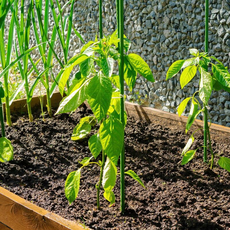 Lot De 30 Tuteurs De Jardin De 121,9 C, Tiges De Support En Fibre De