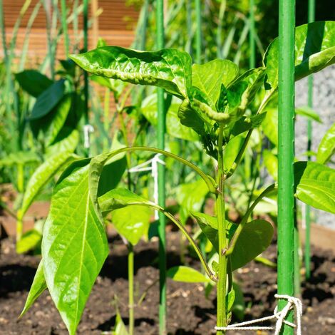 SUPVOX Support Pour Plantes Grimpantes Et Orchidées En Bambou Naturel