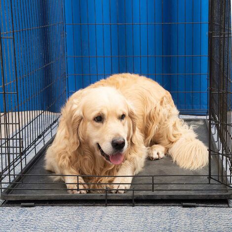 Cage De Transport Pliable En Fil Metallique Petits Animaux Caisse De Transport Metallique Taille Xl