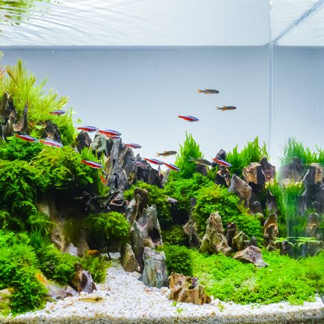 Vanya PlantPlus 250ml Engrais Plantes d'aquarium Croissance