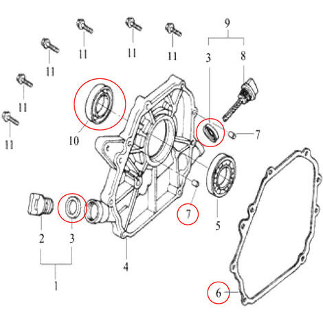 HOLZER Carburateur Avec Joints Pour Moteur Essence Lifan 6,5 CV - Pièce De Rechange Robuste