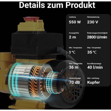 Wiltec Pompe à Fuel Gasoil bio Autoaspirante – 230 V / 550 W / 40 l/min – Hauteur d'aspiration max. 36 m – avec Soupape by-pass et Accessoires