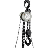 Wiltec Palan à chaîne manuel VSK-5 – Capacité de levage 5 t – Hauteur de levage 3 m – Chaîne de 3 m – Palan mécanique de levage pour atelier