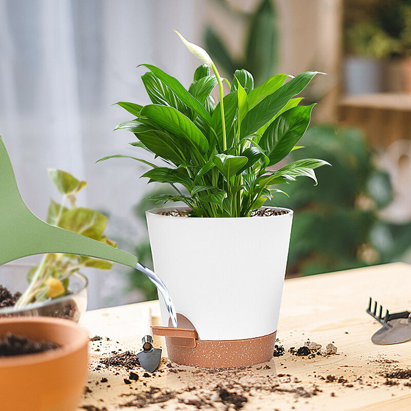 Set Vasi 15 Cm 6 Vasi Da Fiori Autoirriganti 15,2 Cm, Con Sistema Di Irrigazione Vasi Con Sistema Di Irrigazione Automatica