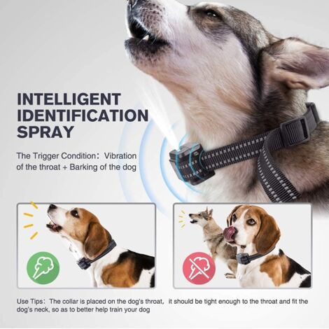 6 Migliori Collari Di Corteccia Di Cronella: Scelte Migliori E Guida - Foto 4