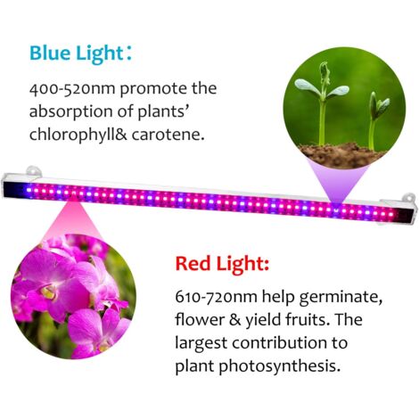 Lampada Per Piante LED 4 Pezzi Con Timer | 540 LEDs Spettro Completo, 10 Luminosità | Per Interni E Coltivazione - Foto 6