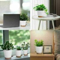 Cabilock Rullo per piante in plastica con rotelle, vaso per piante, vaso da fiori, sottovaso, rettangolare, vaso per vasi per interni, esterni