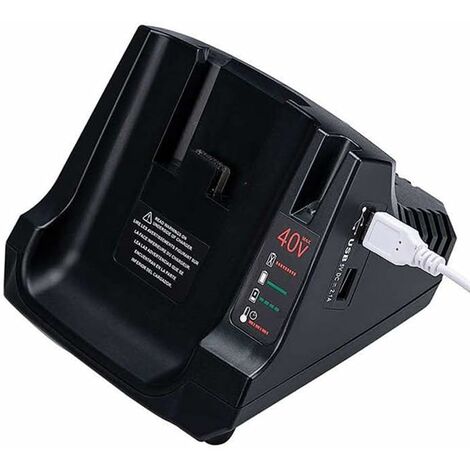 Batterie 12V 3Ah x2 + chargeur GAL12V-40 Professional - 1600A019RD