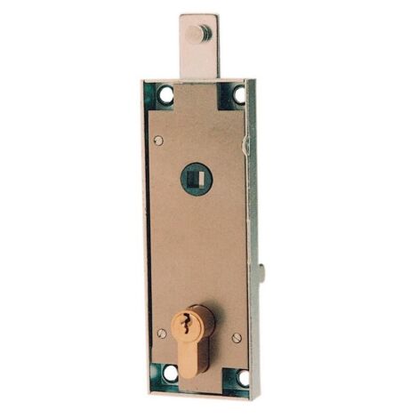 PrA fA rez la serrure art B561 pour les portes basculantes et les volets cylindriques en forme (1/3)