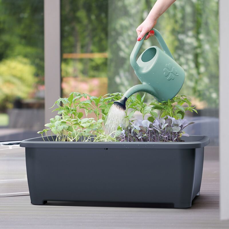 Kotarbau - Arrosoir en plastique - 1,8 l - Avec douchette - Pour arroser les plantes 4