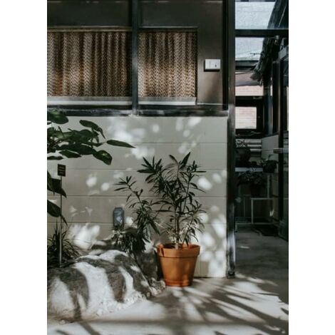 KOTARBAU® Lot De 2 Pots De Fleurs En Terre Cuite, Diamètre