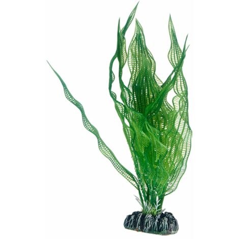 Hobby Aponogeton, Plante d'aquarium artificielle pour la décoration - 25 cm