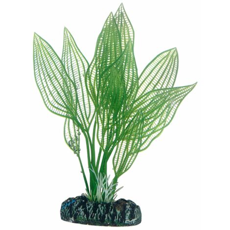 Hobby Aponogeton, Plante d'aquarium artificielle pour la décoration - 16 cm