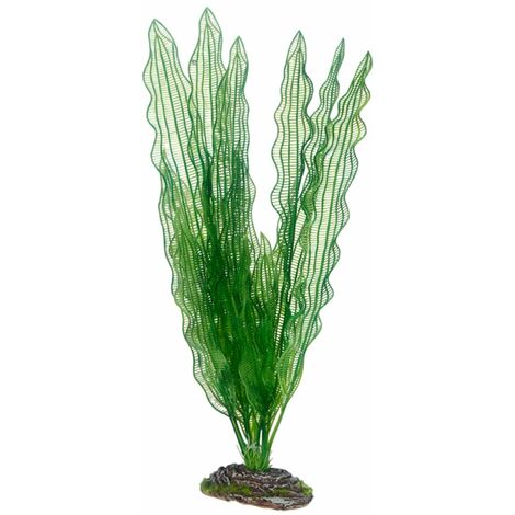 Hobby Aponogeton, Plante d'aquarium artificielle pour la décoration - 39 cm