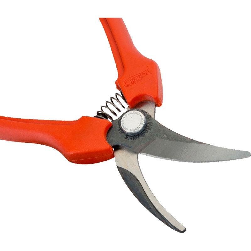 FORBICI POTA FORBICE POTATURA RACCOGLI FRUTTA ASPARAGI ASTA LUNGA 75cm - Foto 4