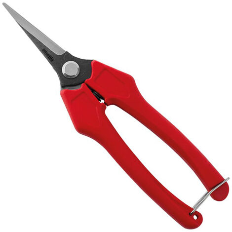 FORBICE FORBICI COGLIUVA VENDEMMIA POTA LAME STRETTE DRITTE 18cm AUSONIA (1/3)