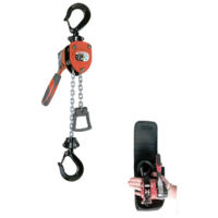 PARANCO MANUALE A CATENA 250 Kg 1650138 VALEX ARGANO VERRICELLO