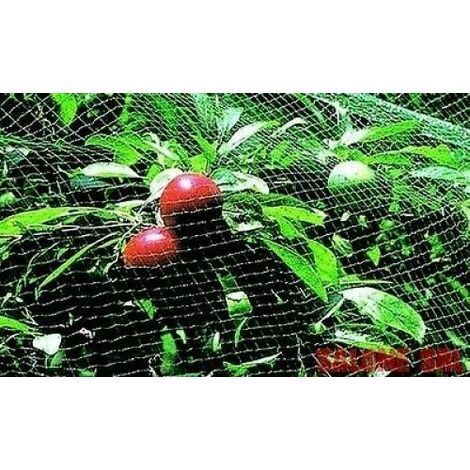 Materiali Per Protezione: Rete Protezione Elastica - Foto 2