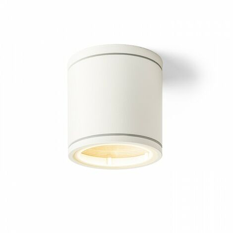 Spot plafond blanc cylindrique LIZZI 230V GU10 35W IP54 (1/5)