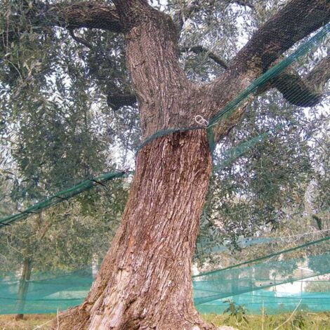 Réseau d'olives renforcé et tissu antipin d'oeillement avec ouverture verte 33 gr / m² 8x8 mt