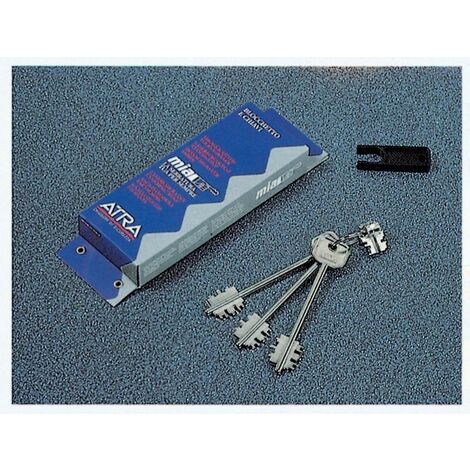 Kit changement Dierre Atra BL03210 pour serrures avec extracteur de bloc 3 clA s 116 mm et poignA e noire
