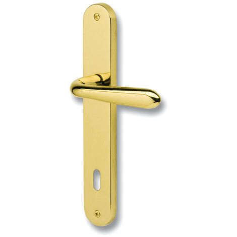 Vous Recherchez Des Poignées De Fenêtre De Police? | Livraison Rapide