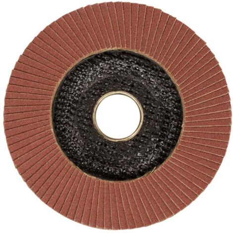 Stanley Zubehör - Lamellenschleifscheibe, P120, Durchmesser 115 mm STA32102-XJ (1/2)