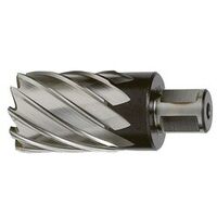 EVO HT14S Strawberry Evo Cut 14 mm. Schneiden Sie M-2