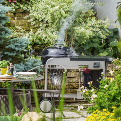 Barbecue à charbon WEBER Performer Premium 57 cm GBS