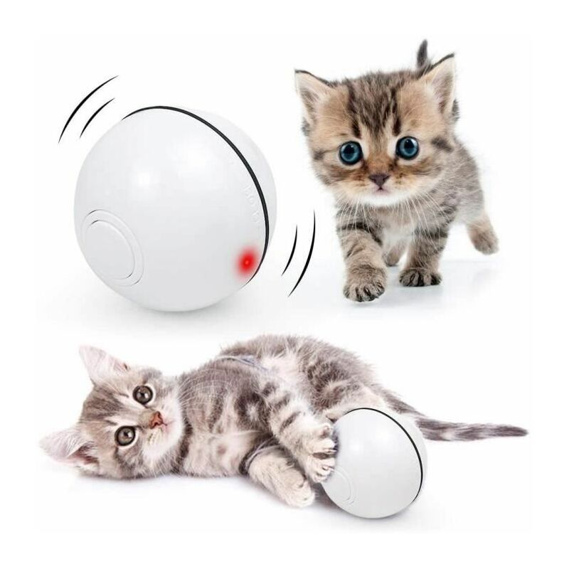 Jouets interactifs 3en1 pour chat, jouet pour chat automatique intelligent  pour chats d'intérieur, jouets électriques pour chaton, papillon flottant