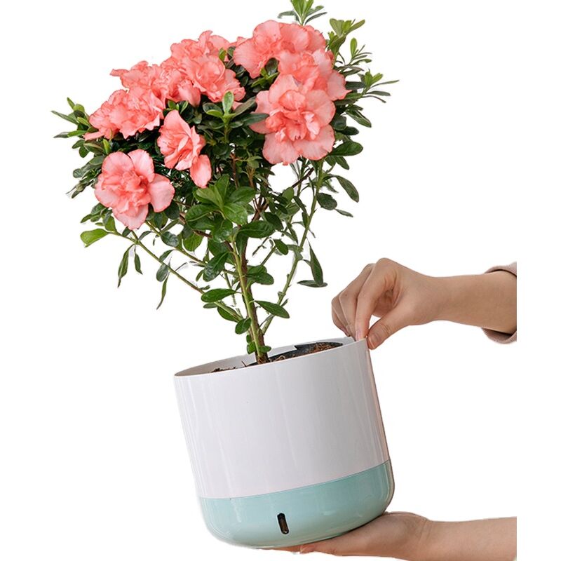32pcs Mini pot en argile pots de fleurs terre cuite petits - Temu France